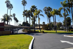 Гостиница Hotel Palmeras Chula Vista  Чула-Виста